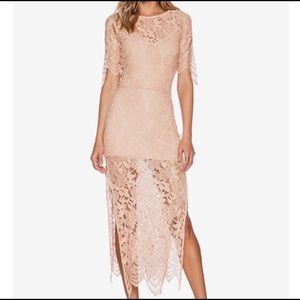 For Love & Lemons Blush Lace Midi Dress